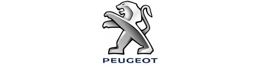 Barras Portaequipajes Peugeot