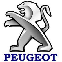 PORTAEQUIPAJES PEUGEOT