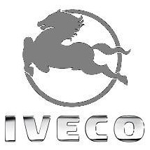 PORTAEQUIPAJES IVECO