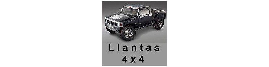 1. LLANTAS 4x4